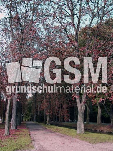 B-Herbststimmung 077.jpg